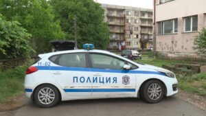 полиция, домашно насилие